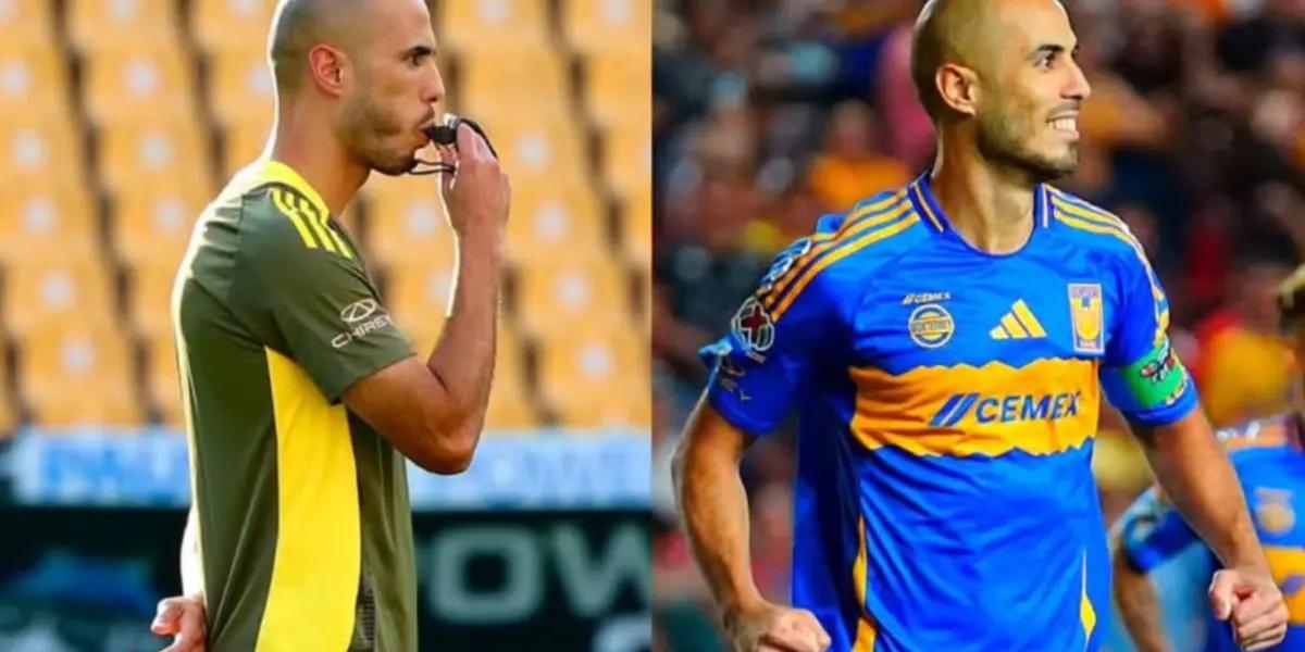 Tigres / Foto: Tigres